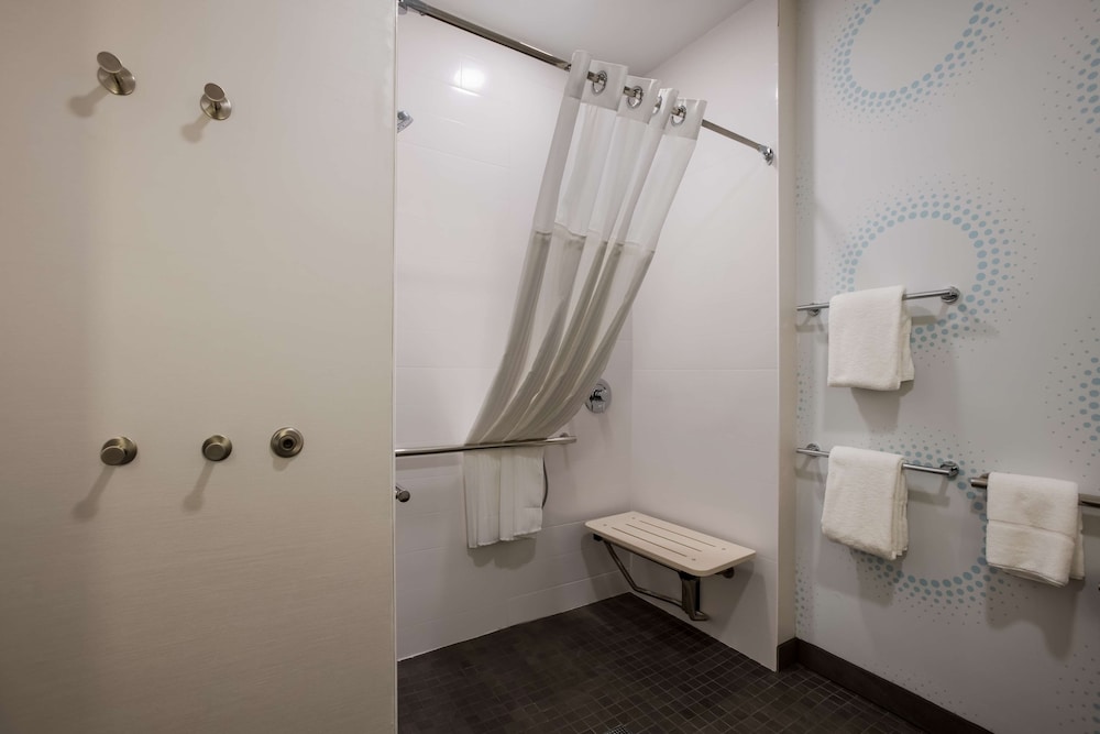 Room, 1 King Bed, Accessible (Roll-In Shower) - Photo 5