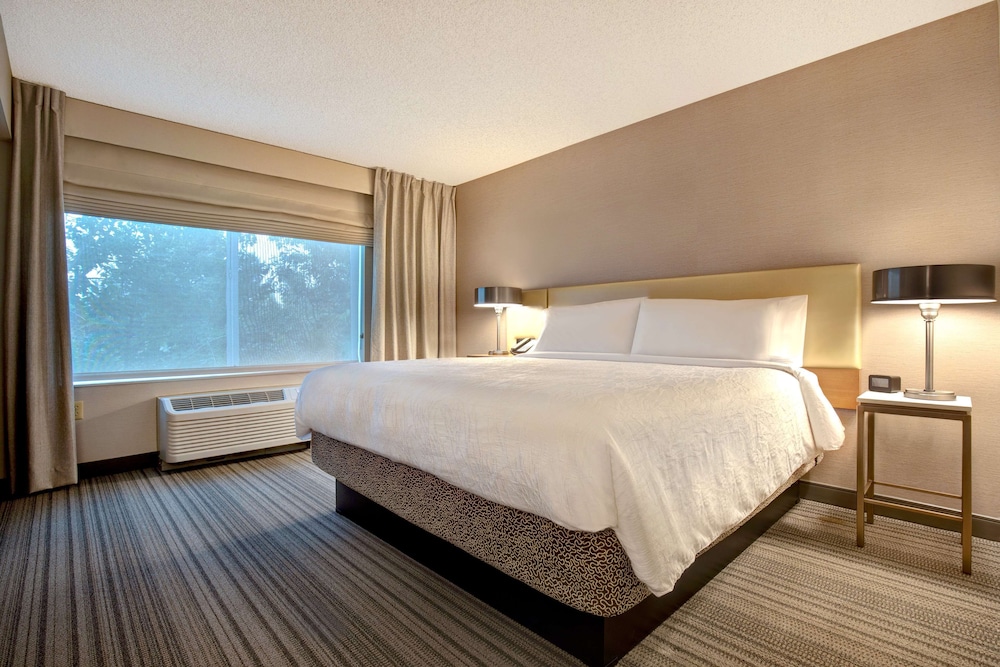 Suite, 1 King Bed - Photo 5