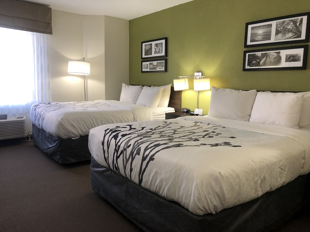 Standard Room, 2 Queen Beds, Non Smoking, Refrigerator & Microwave - Photo 1