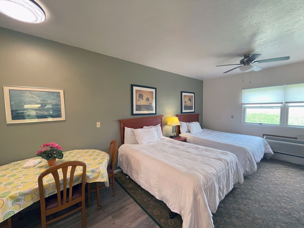 1 Bedroom Suite photo 2