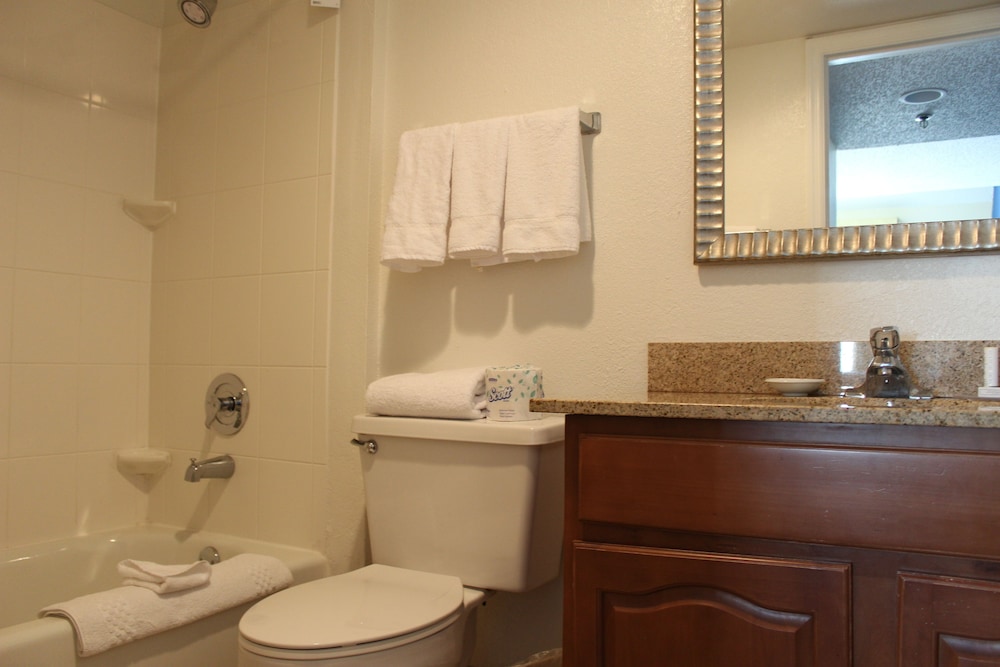Junior Studio Suite, 1 King Bed, Kitchen photo 3