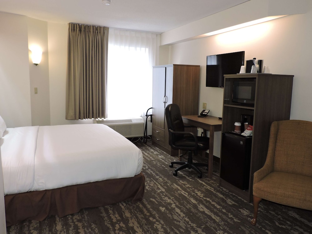 Standard Room, 1 King Bed, Non Smoking, Refrigerator & Microwave - Photo 4
