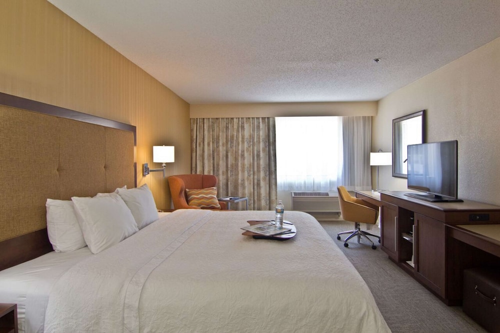 Deluxe Room, 1 King Bed (Shower Only) photo 3
