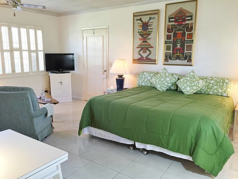 Studio Suite, 1 King Bed photo 1