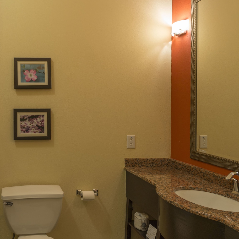 Suite, 1 King Bed - Photo 4