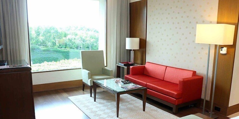 Luxury Suite - Photo 6