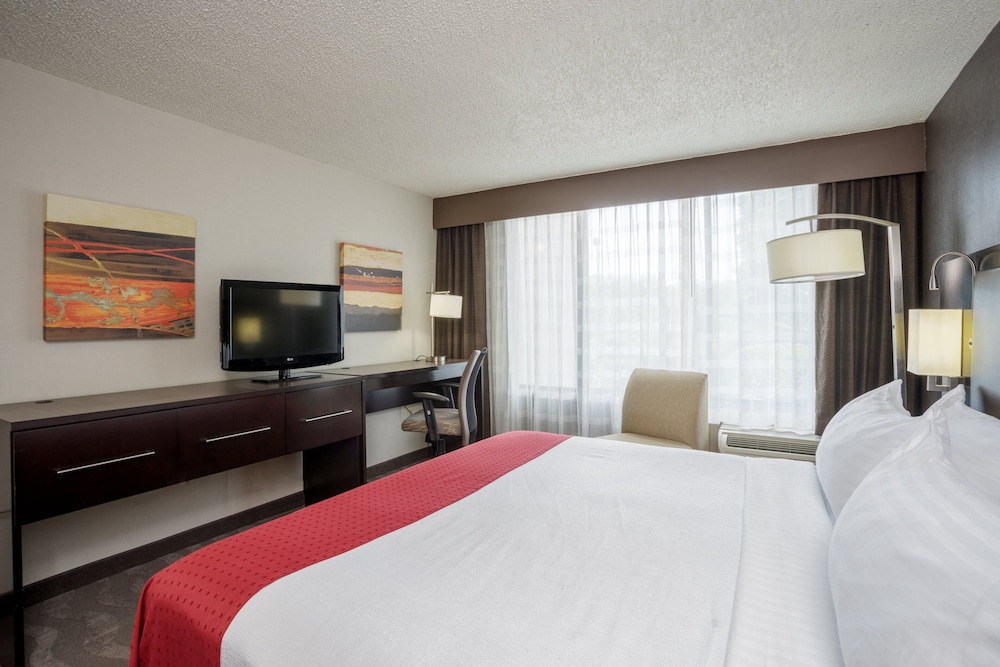 Standard Room, 1 King Bed, Accessible (Communications) - Photo 1