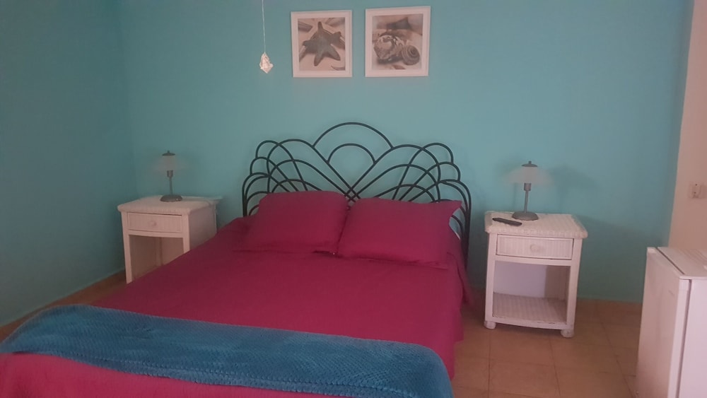 Room, 1 Queen Bed photo 1