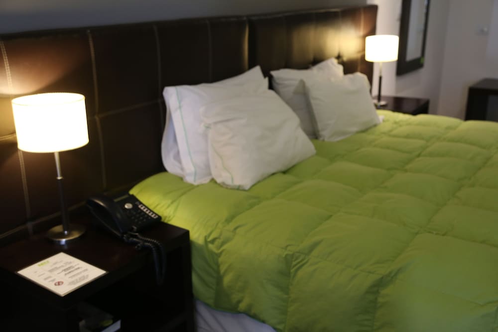 Executive Double Room, 1 King Bed photo 2