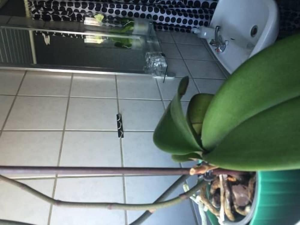 Room, Private Bathroom thumbnail 5
