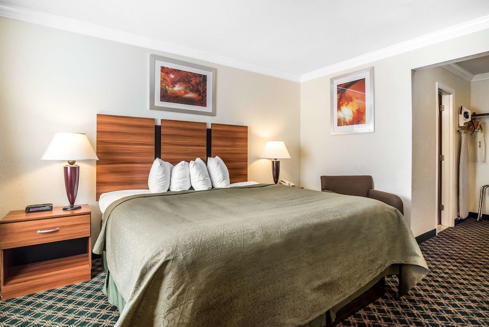 Room, 1 King Bed, Non Smoking photo 3