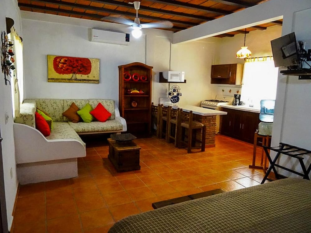 Traditional Studio Suite, 1 King Bed photo 1