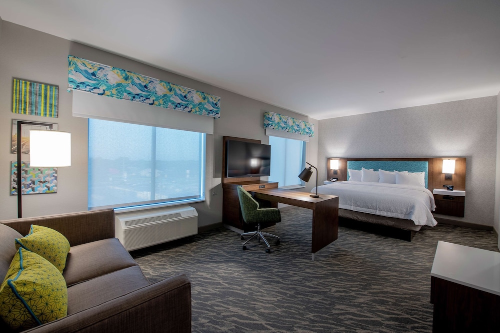 Suite, 1 King Bed, Accessible - Photo 1