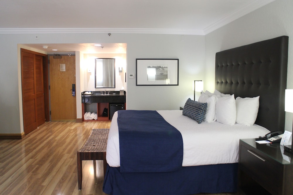 Junior Suite - Photo 4