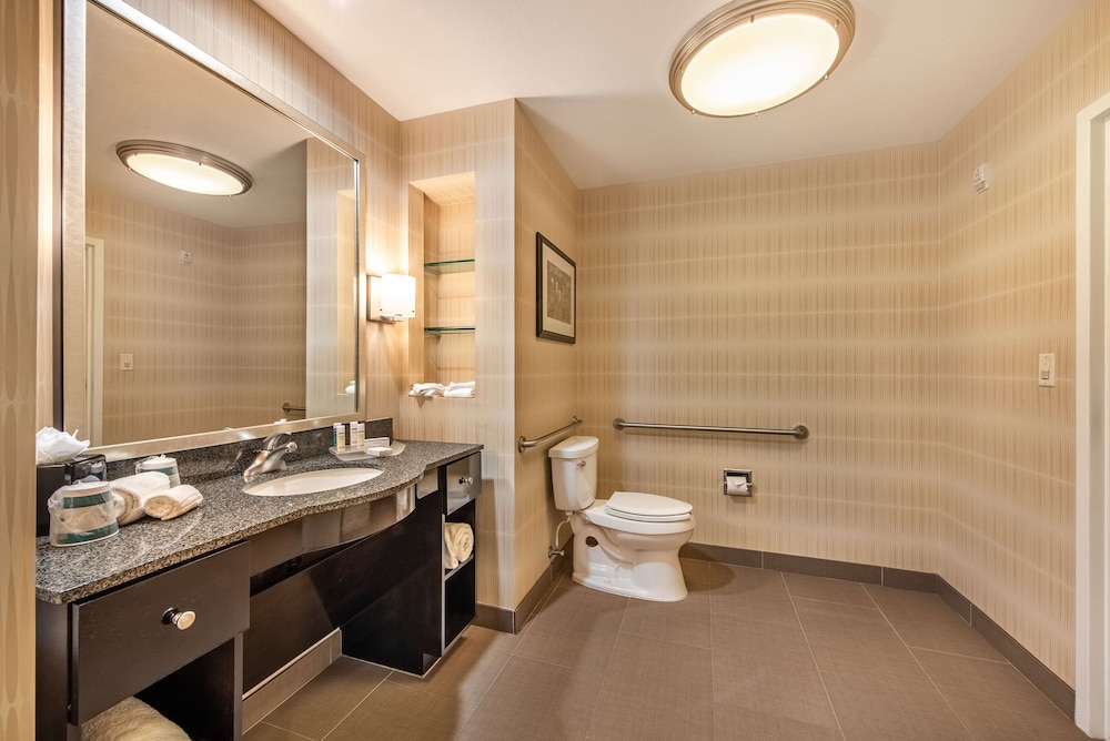 Room, 1 King Bed, Accessible (Mobility) - Photo 10