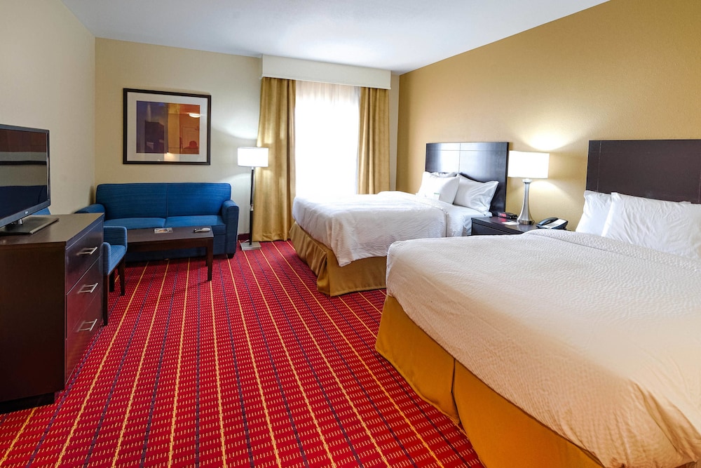 Studio Suite, Multiple Beds