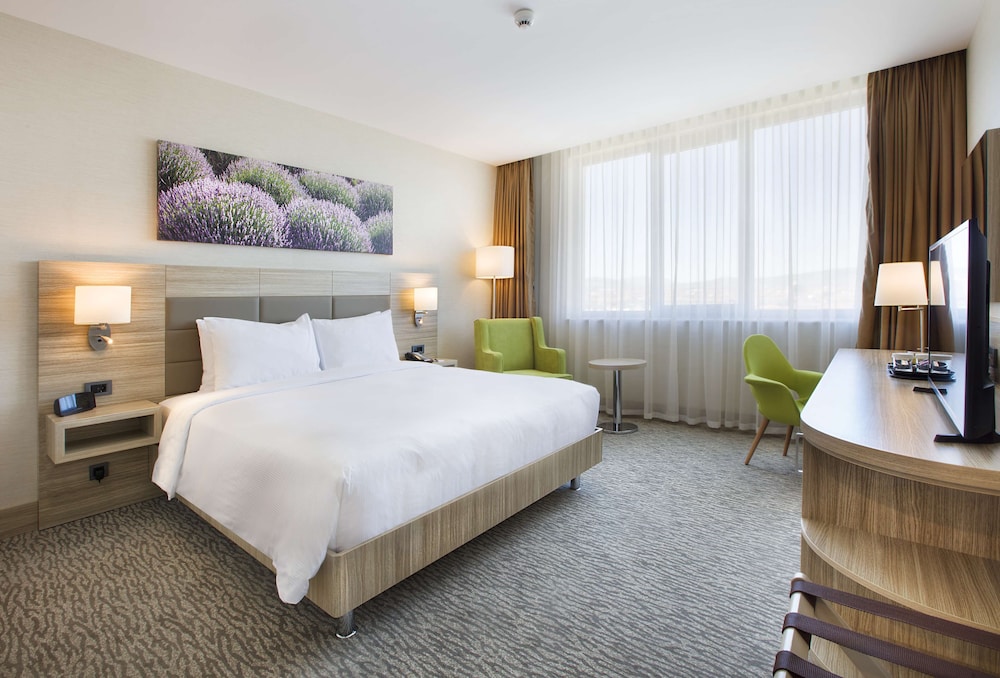 Room, 1 King Bed