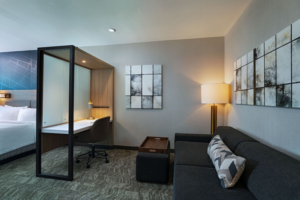 Suite, 1 King Bed - Photo 4