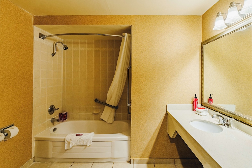 Standard Room, 1 King Bed, Accessible, Refrigerator & Microwave - Photo 6