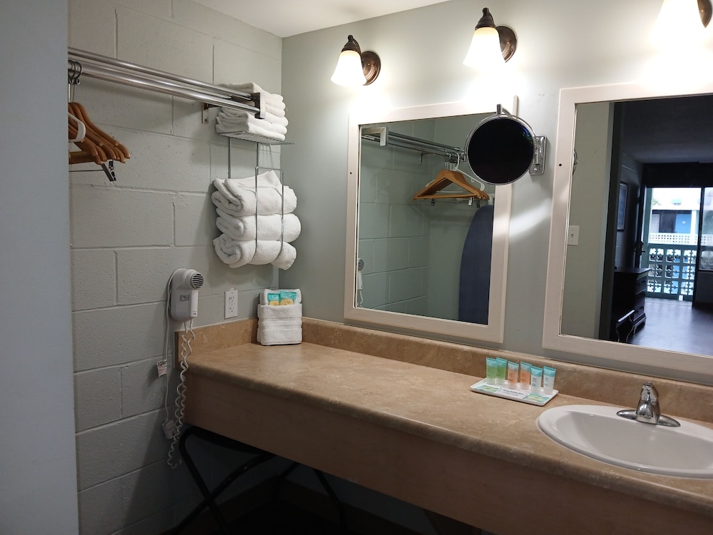Standard Room, 2 Queen Beds, Microwave (2QQ MICROWAVE) (DOG FRIENDLY) photo 3