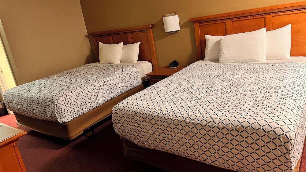 Executive, Two Queen Beds photo 1
