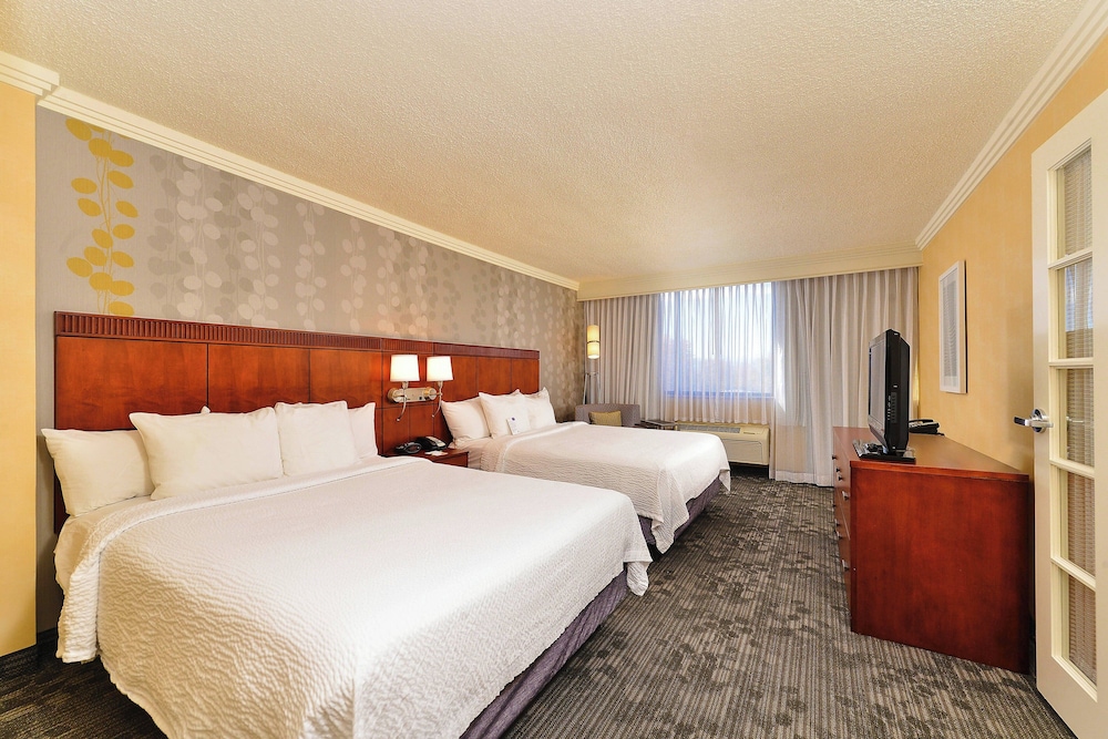 Suite, 1 Bedroom photo 3