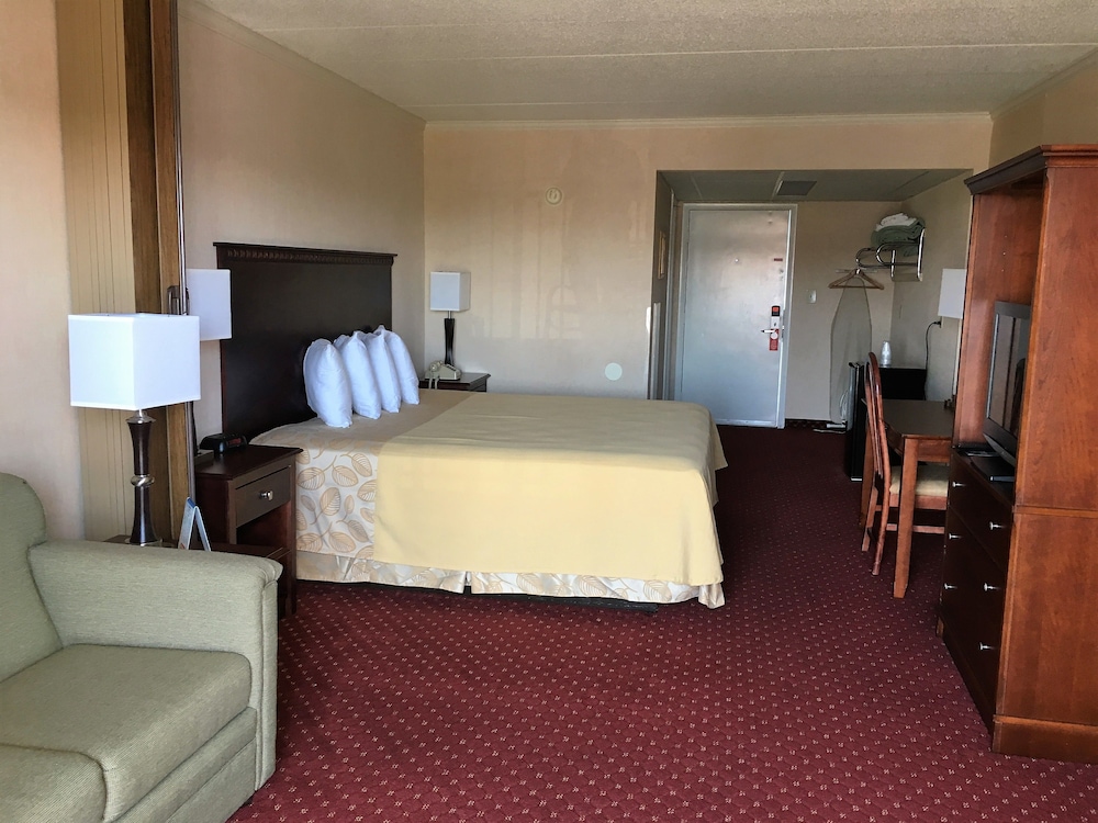 Standard Room, 1 King Bed with Sofa bed (Top Floor) photo 1
