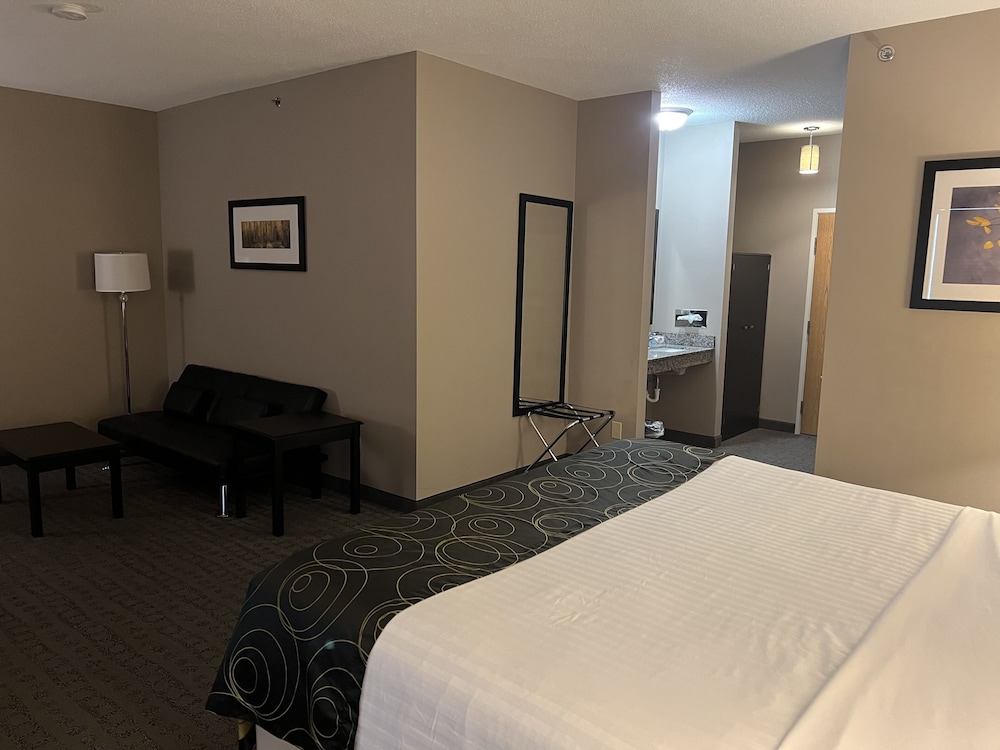 Standard Suite, 1 King Bed with Sofa bed photo 2