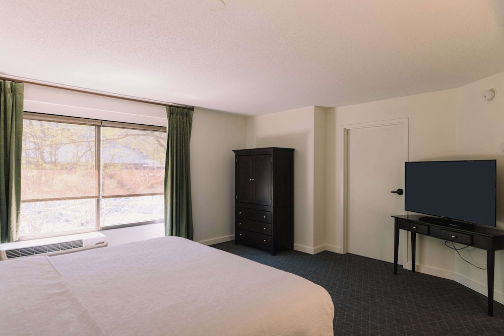 Suite, 1 King Bed - Photo 2