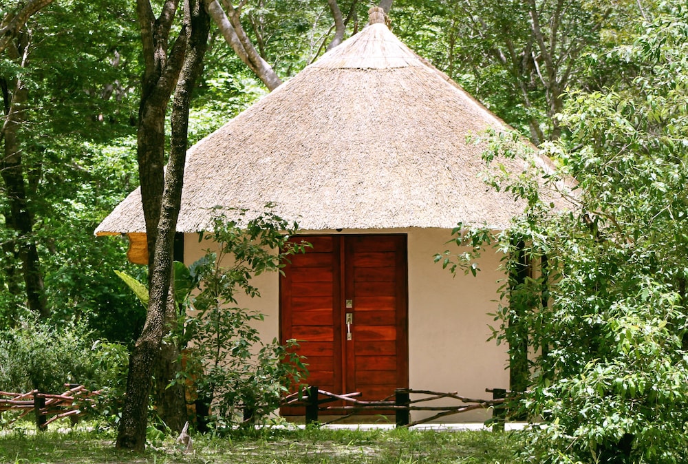 Forest Chalet photo 1