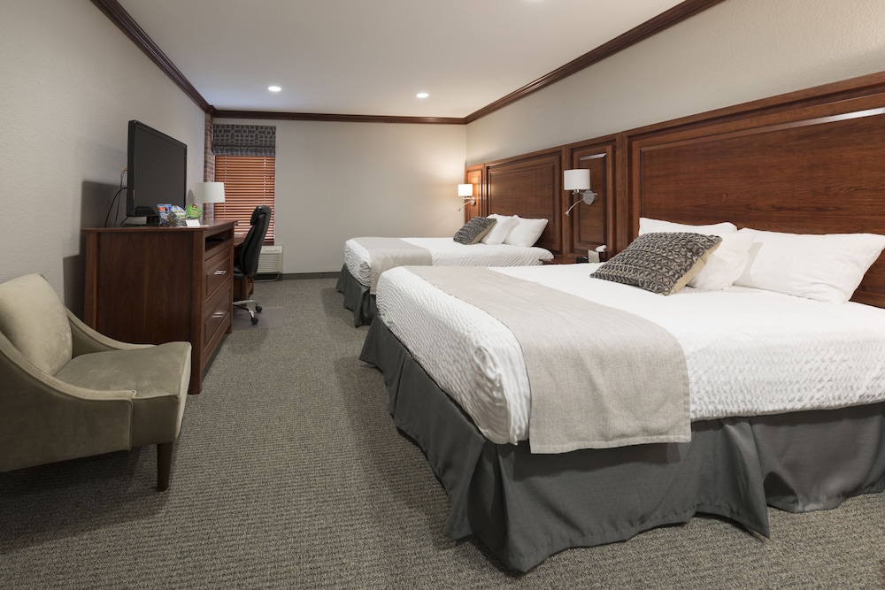 Executive Double Room, 2 Queen Beds photo 1