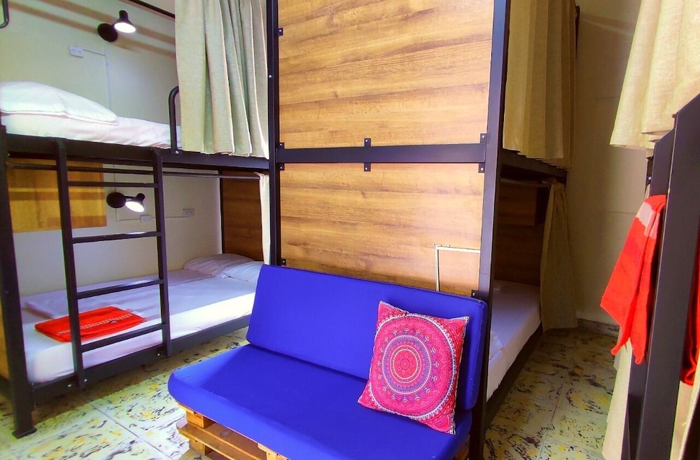 Standard Shared Dormitory photo 3