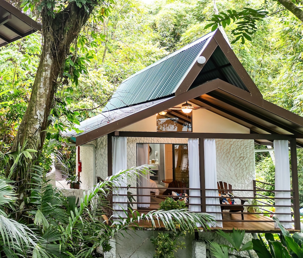 Premium Bungalow photo 2