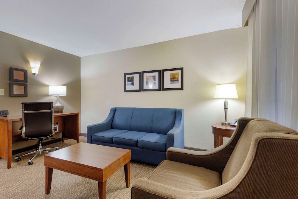 Suite, 1 King Bed with Sofa bed, Non Smoking photo 1