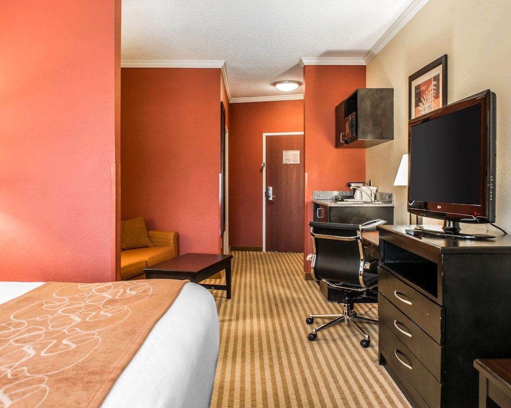 Suite, 1 King Bed with Sofa bed, Refrigerator & Microwave - Photo 1