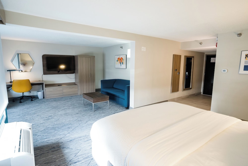 Suite, 1 King Bed - Photo 1