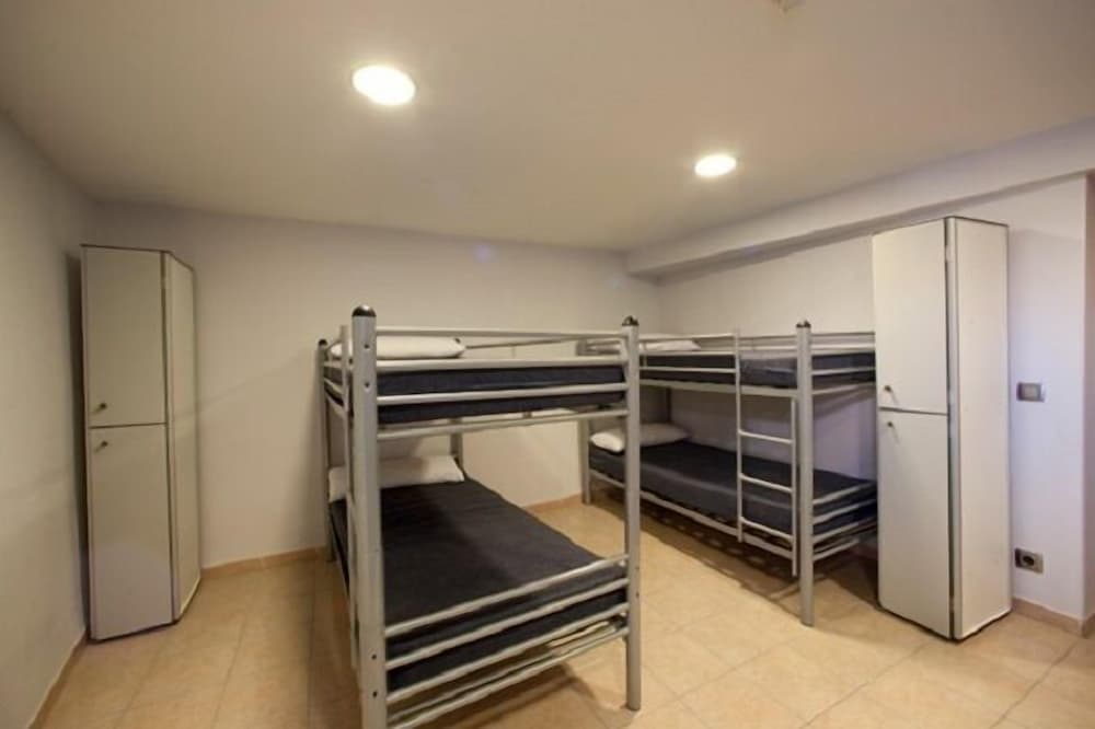 Shared Dormitory (1 Bed In 8 Bed Dorm)
