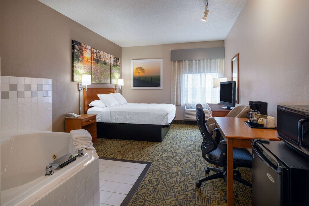 Deluxe Studio Suite, 1 Queen Bed, Non Smoking - Photo 1