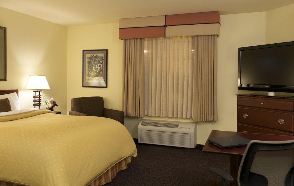 One Bedroom Suite - Photo 2