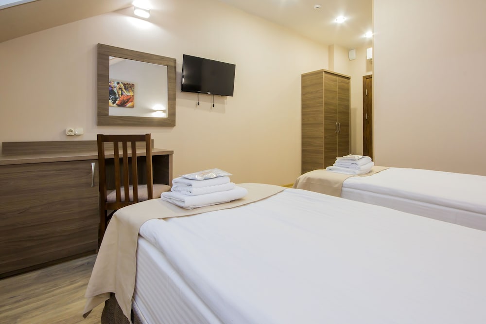 Business Double or Twin Room photo 3