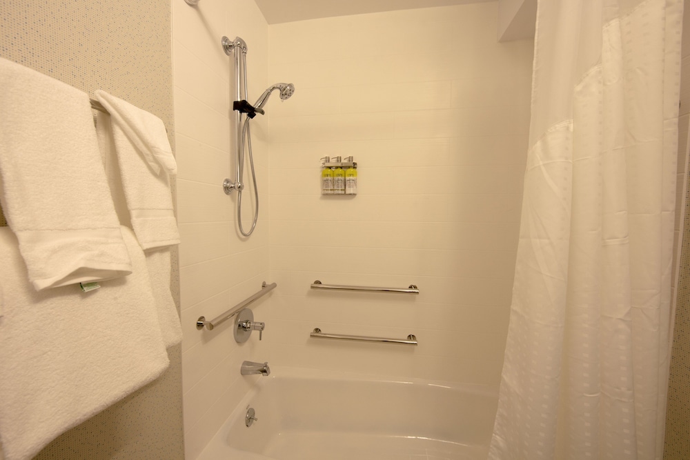 Standard Room, 1 King Bed, Accessible Bathtub (Mobility) - Photo 4