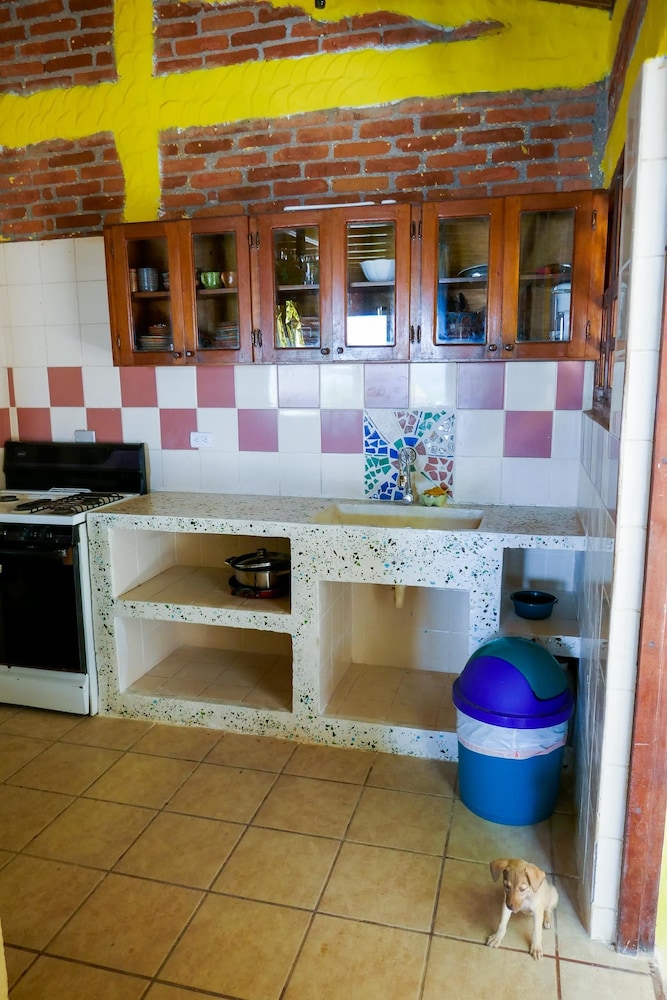 Basic Shared Dormitory photo 3