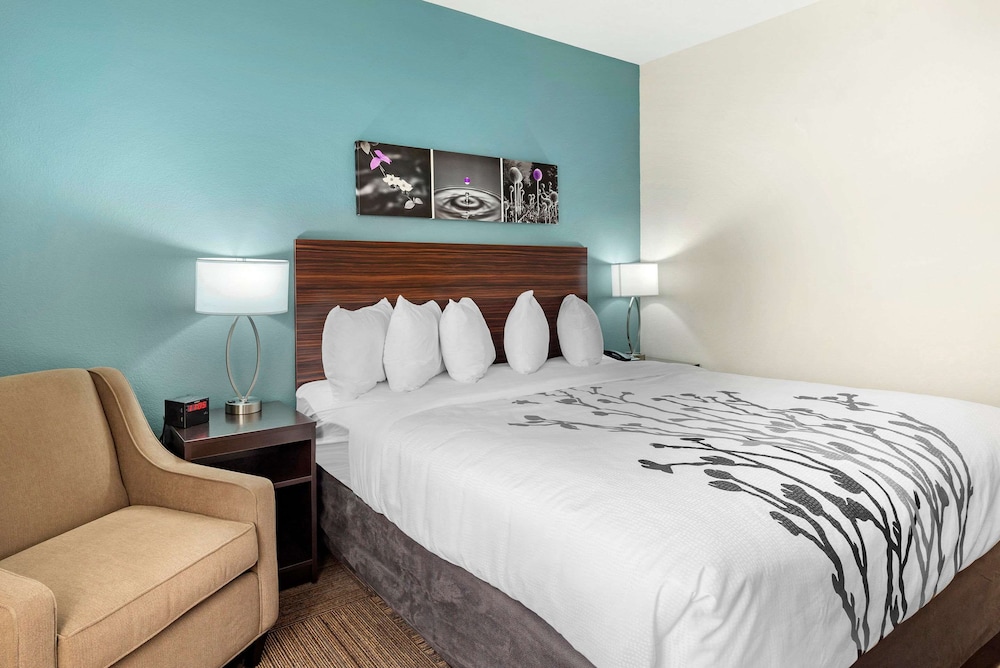 Room, 1 King Bed, Accessible, Non Smoking - Photo 3