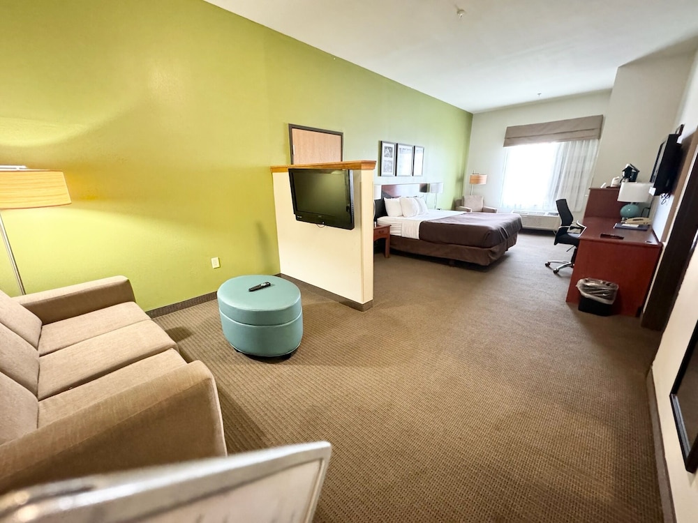 Basic Room, 1 King Bed, Accessible - Photo 1