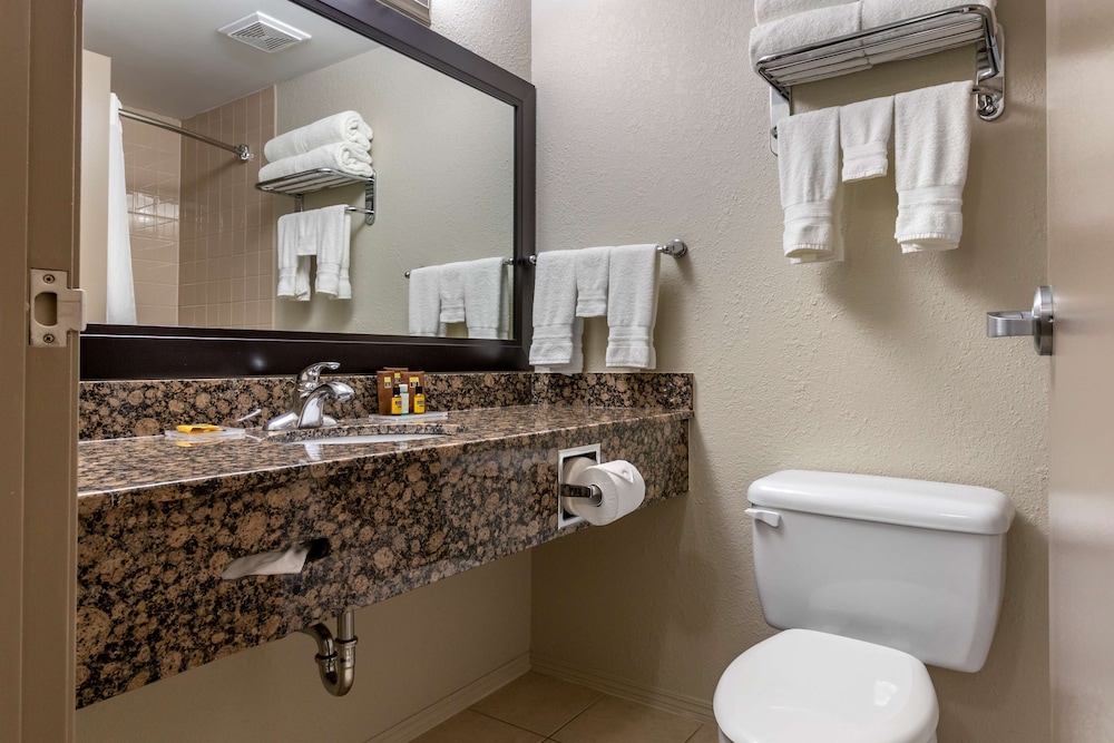 Standard Room, 1 King Bed, Non Smoking, Refrigerator (Pet Friendly) - Photo 4