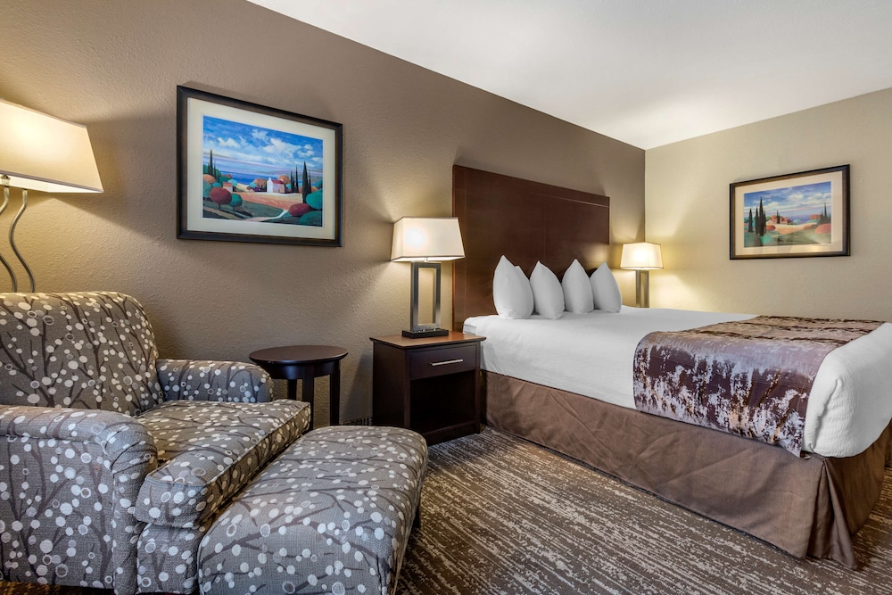 Standard Room, 1 King Bed, Non Smoking, Refrigerator (Pet Friendly) - Photo 3
