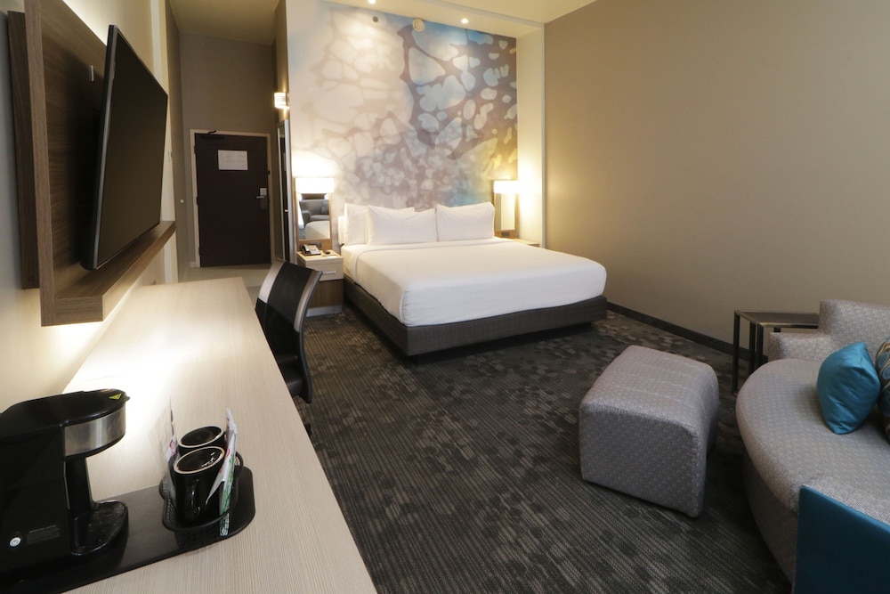 Room, 1 King Bed with Sofa bed photo 1
