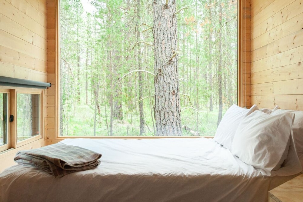 Cabin, 1 Queen Bed photo 1