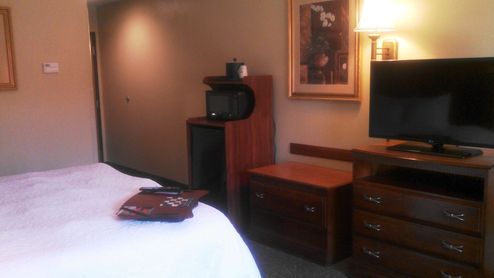 Room, 1 King Bed photo 3