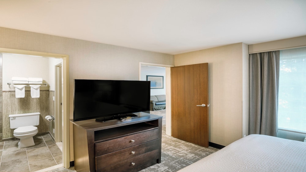 Suite, 1 King Bed - Photo 13